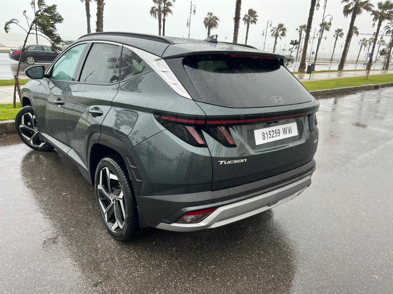 WhatsApp Image 2026-02-08 at 20.09.18 (3)