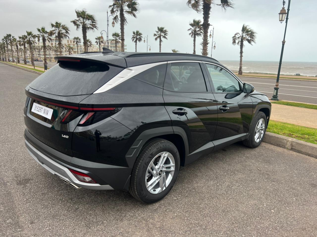 WhatsApp Image 2026-02-08 at 20.09.23 (1)